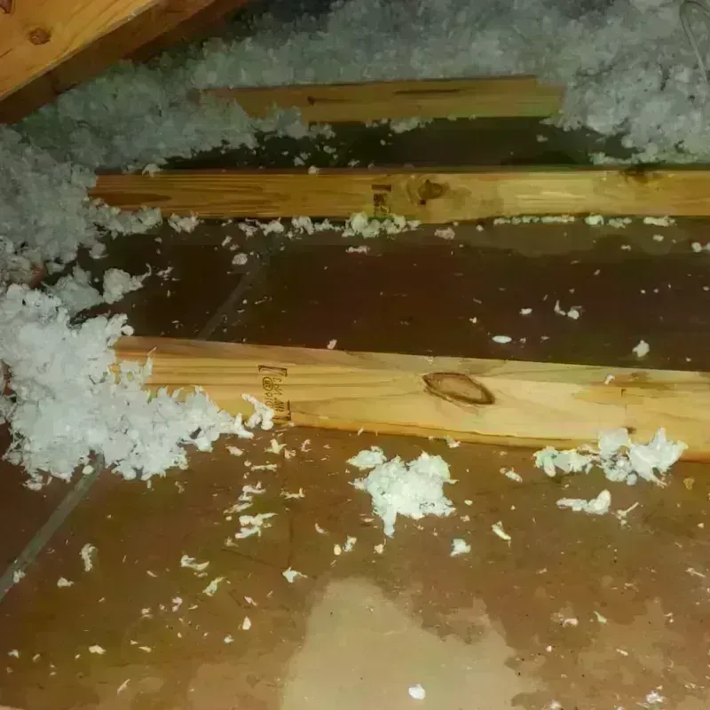 Attic Water Damage in Sulphur Springs, AR