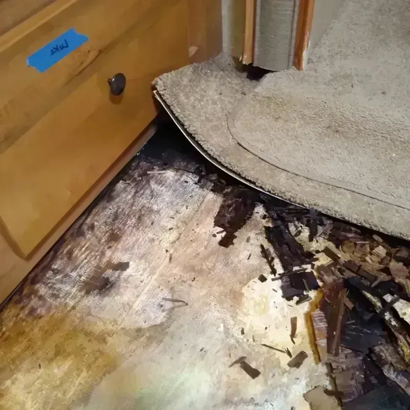 Wood Floor Water Damage in Sulphur Springs, AR